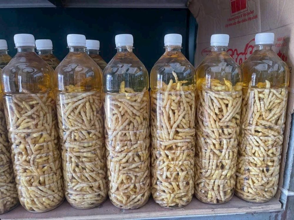 Rượu sâu chít